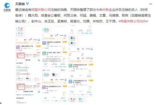 娱乐圈偷税八卦最新爆料,最新爆料揭露惊人内幕  第2张